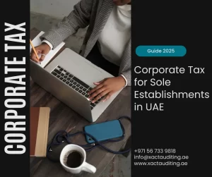 Corporate tax filing for sole establishment in UA