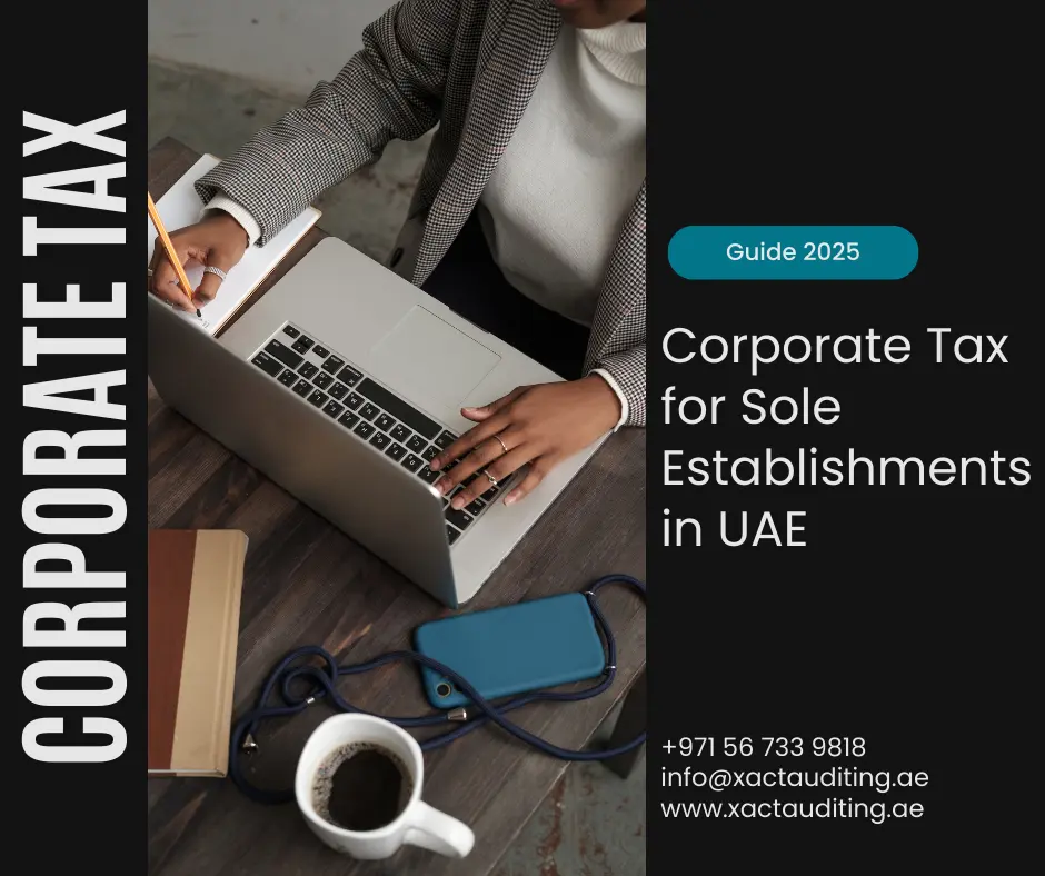 Corporate tax filing for sole establishment in UA
